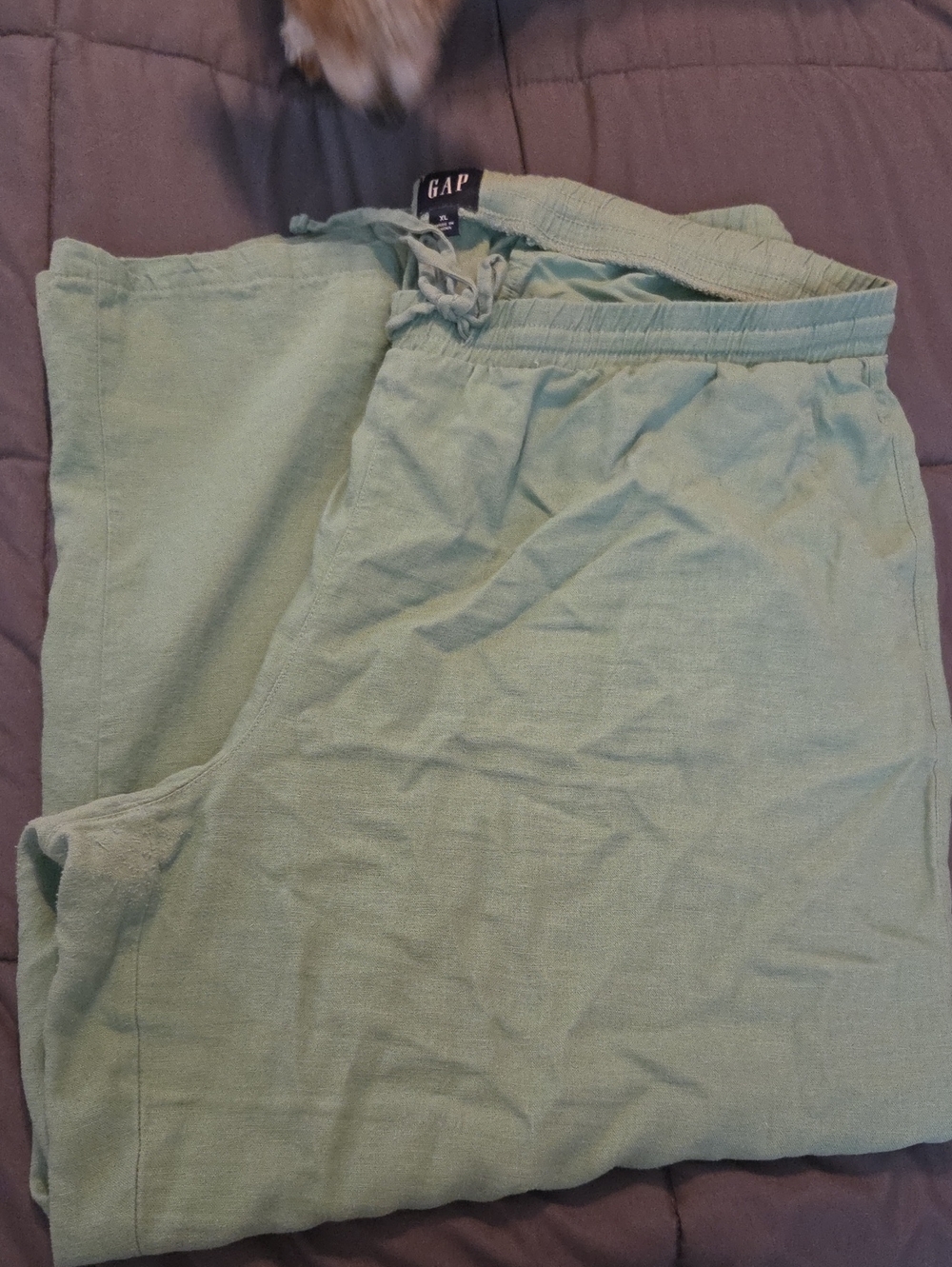GAP Women's Mint Green Drawstring Linen Pants